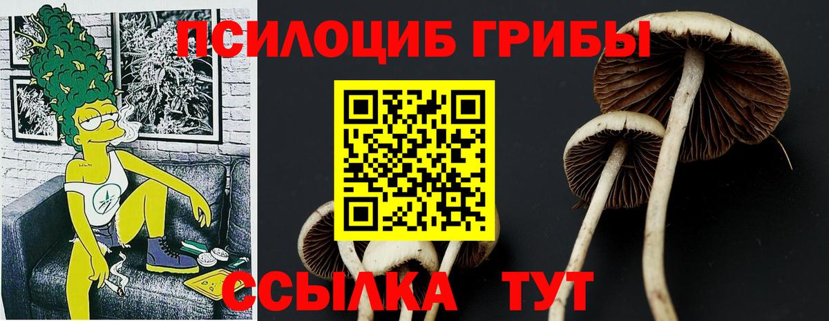 Псилоцибиновые грибы мухоморы  Псилоцибиновые грибы прущие грибы  сколько стоит  Вход с VPN  Волжск 