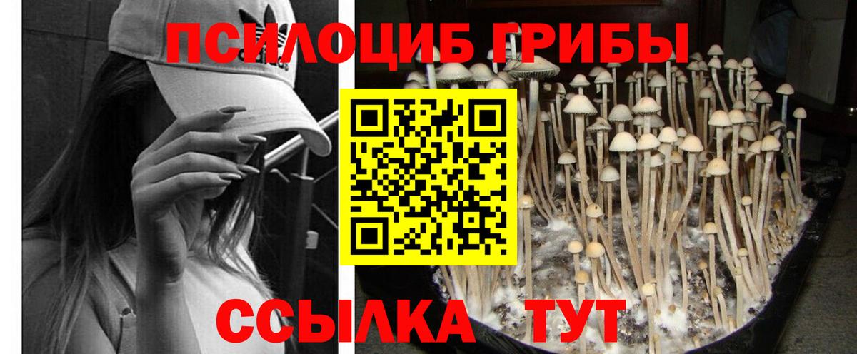 Псилоцибиновые грибы MAGIC MUSHROOMS Волжск